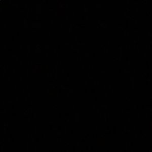 Meet your Posher, Carter